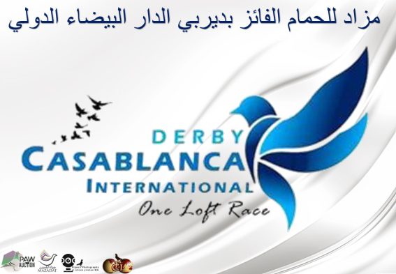 Derby Casablanca International -Day 3